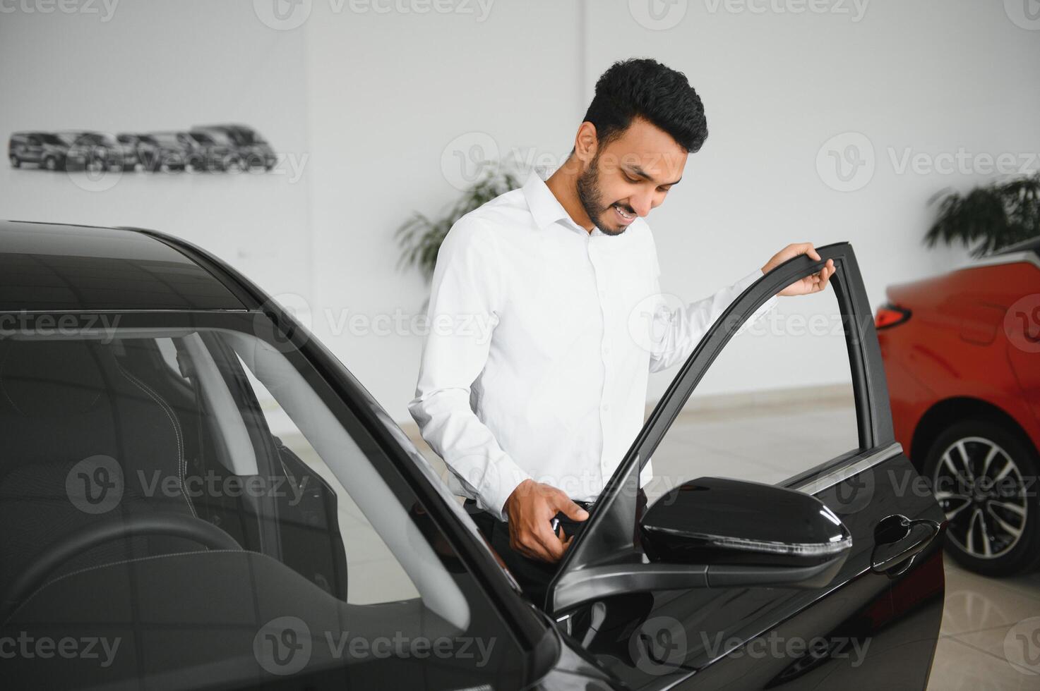 happy indian man buy new biodiesel eco automobile in lux showroom. photo