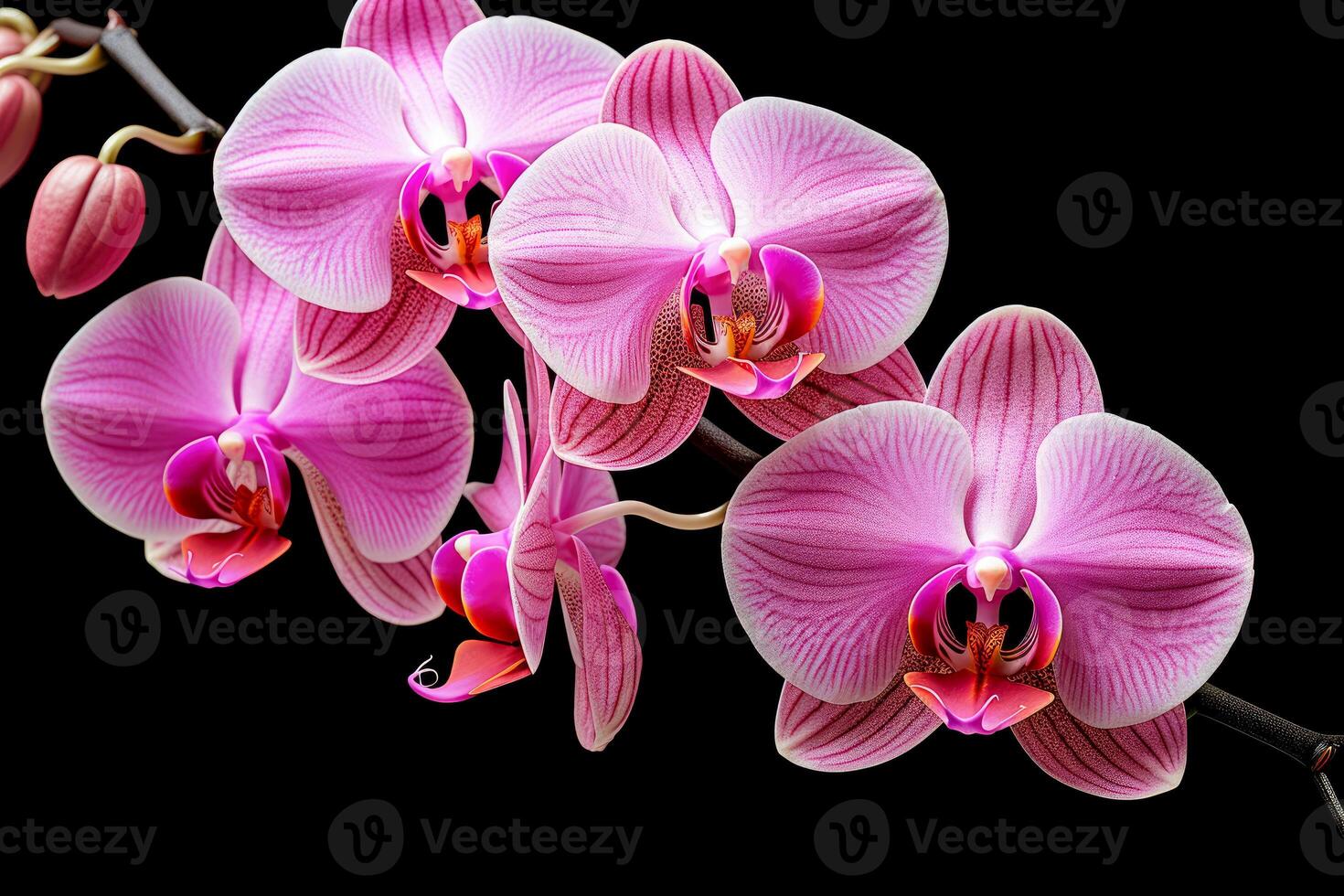 decoración de flores de orquídeas artificiales 9995692 Foto de stock en  Vecteezy