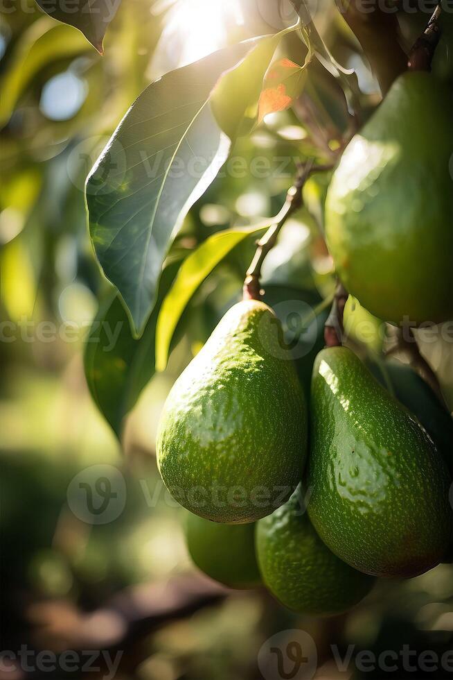 ai generado un rama de aguacate en árbol en el luz de sol. ai generativo Arte foto