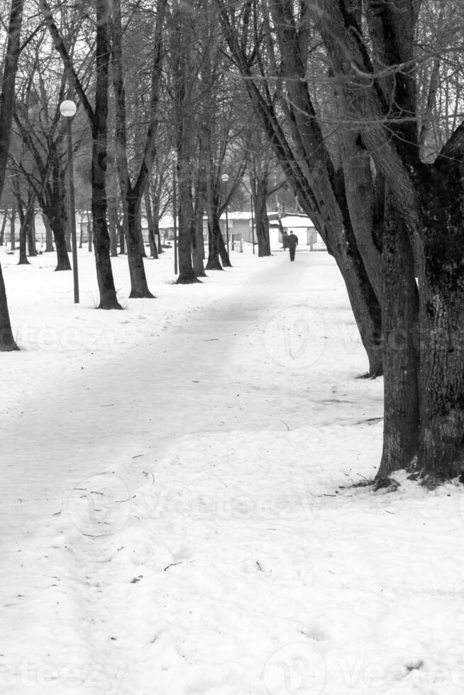 paisaje Disparo de el nieve con huellas concepto foto
