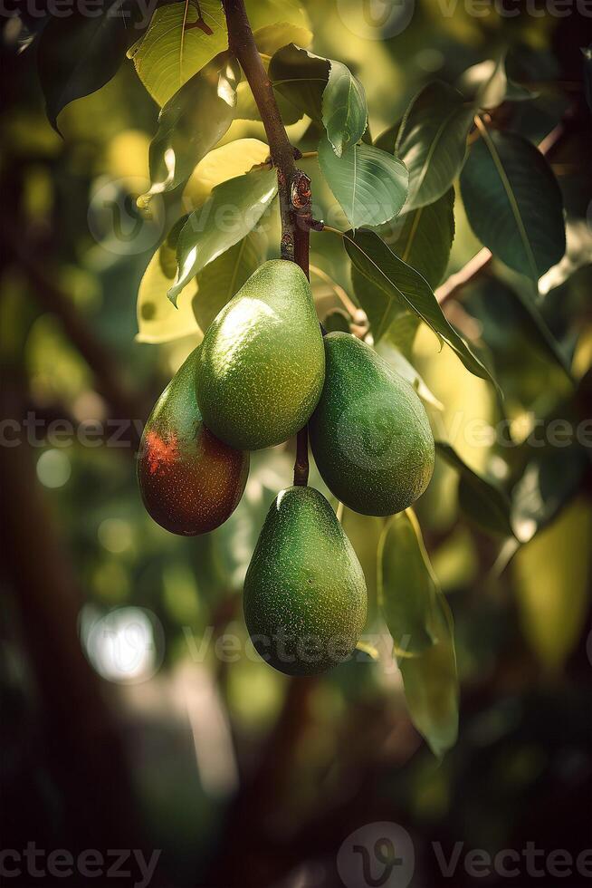 ai generado un rama de aguacate en árbol en el luz de sol. ai generativo Arte foto