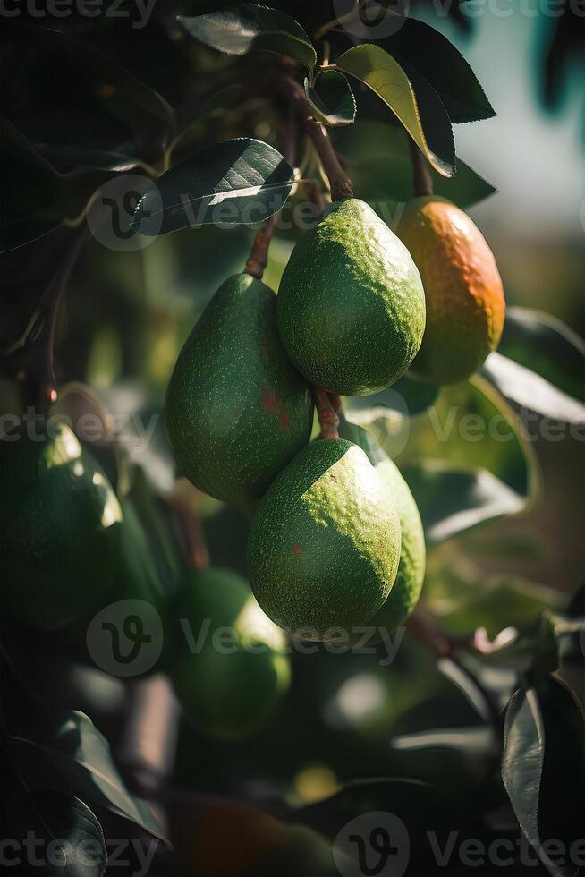 ai generado un rama de aguacate en árbol en el luz de sol. ai generativo Arte foto