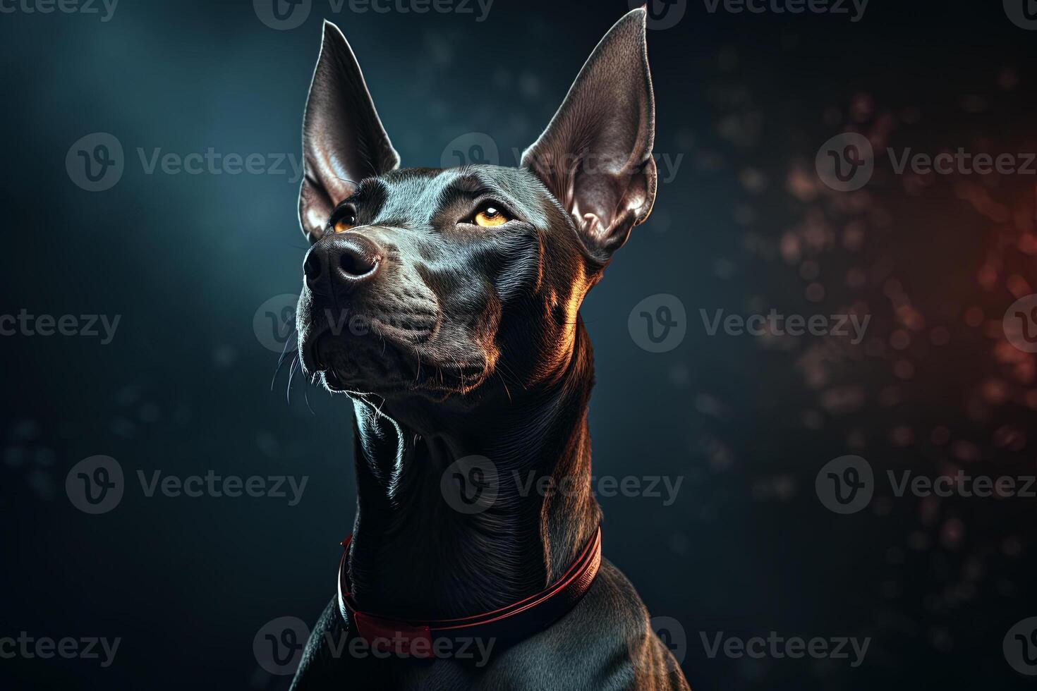 ai generado xoloitzcuintli desnudo mexicano perro en un negro antecedentes. ai Arte foto