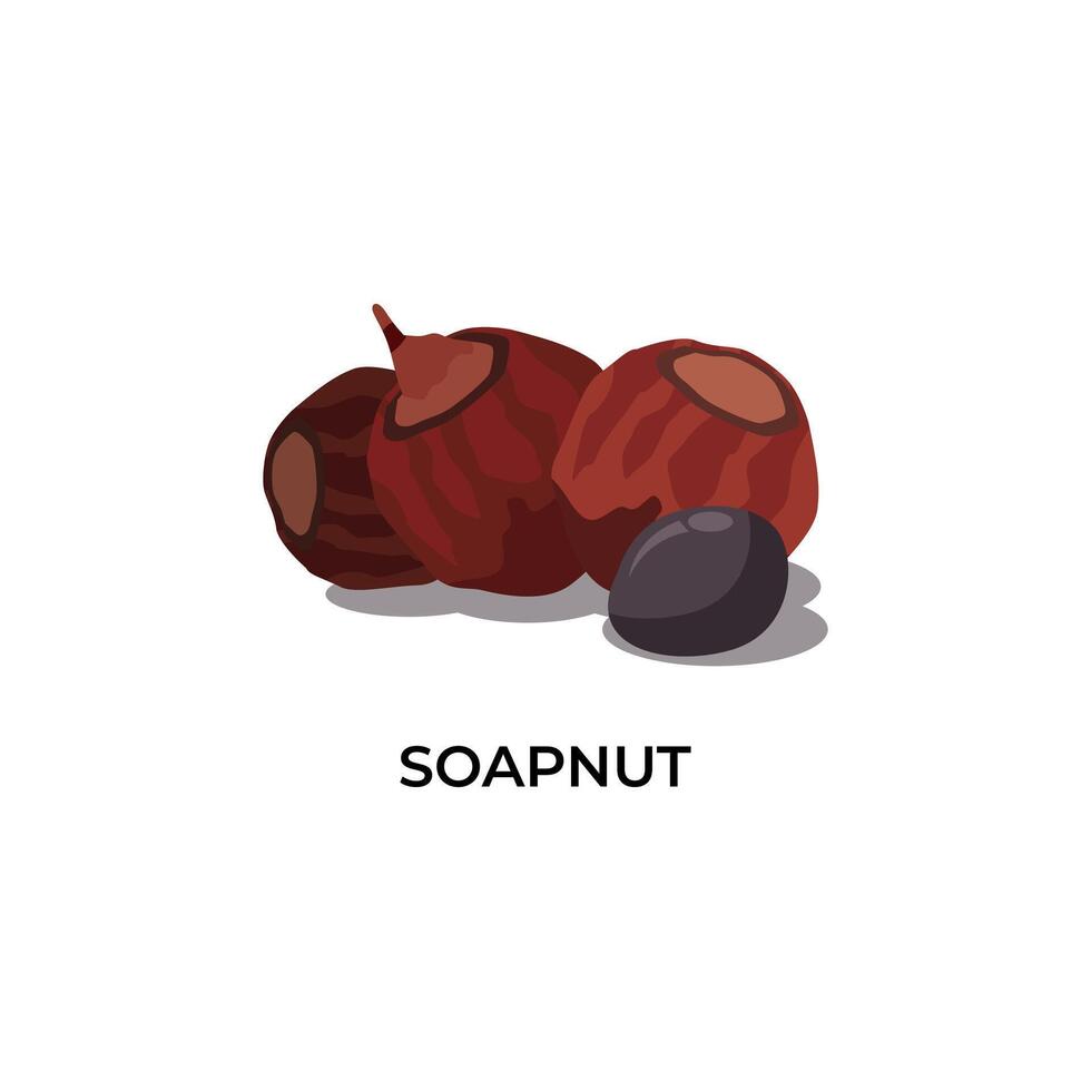 Soap nut illustration art icon design vector