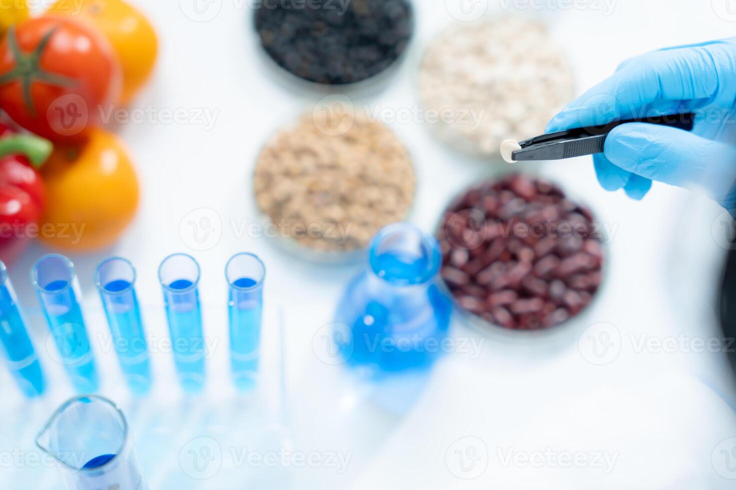 Scientist check chemical whole grains residues in laboratory. Control experts inspect the concentration of chemical residues. hazards, standard, prohibited substances, contaminate, Microbiologist photo