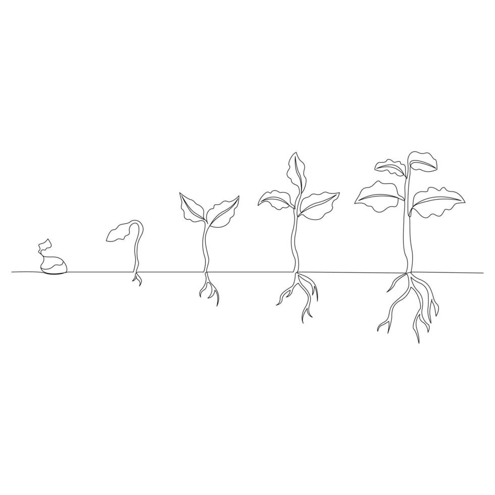 One line drawing plant growth processing outline vector illustration