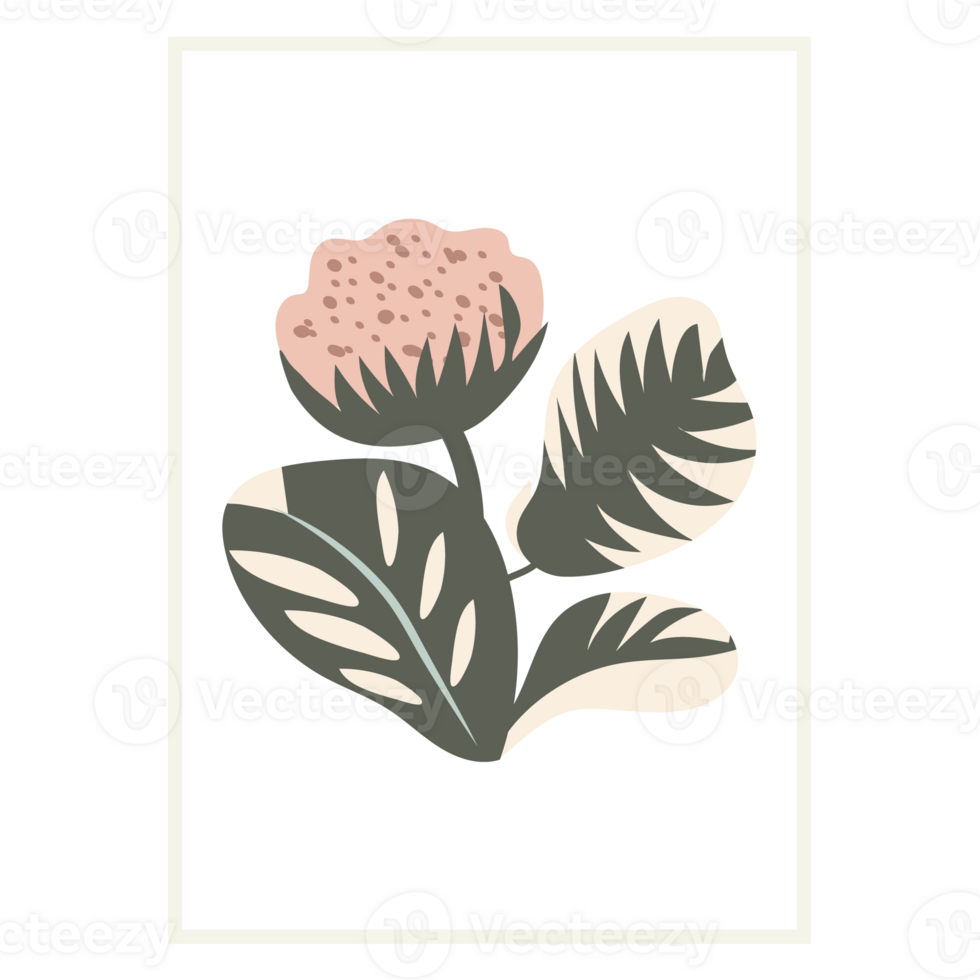 Postage stamps with flowers. png