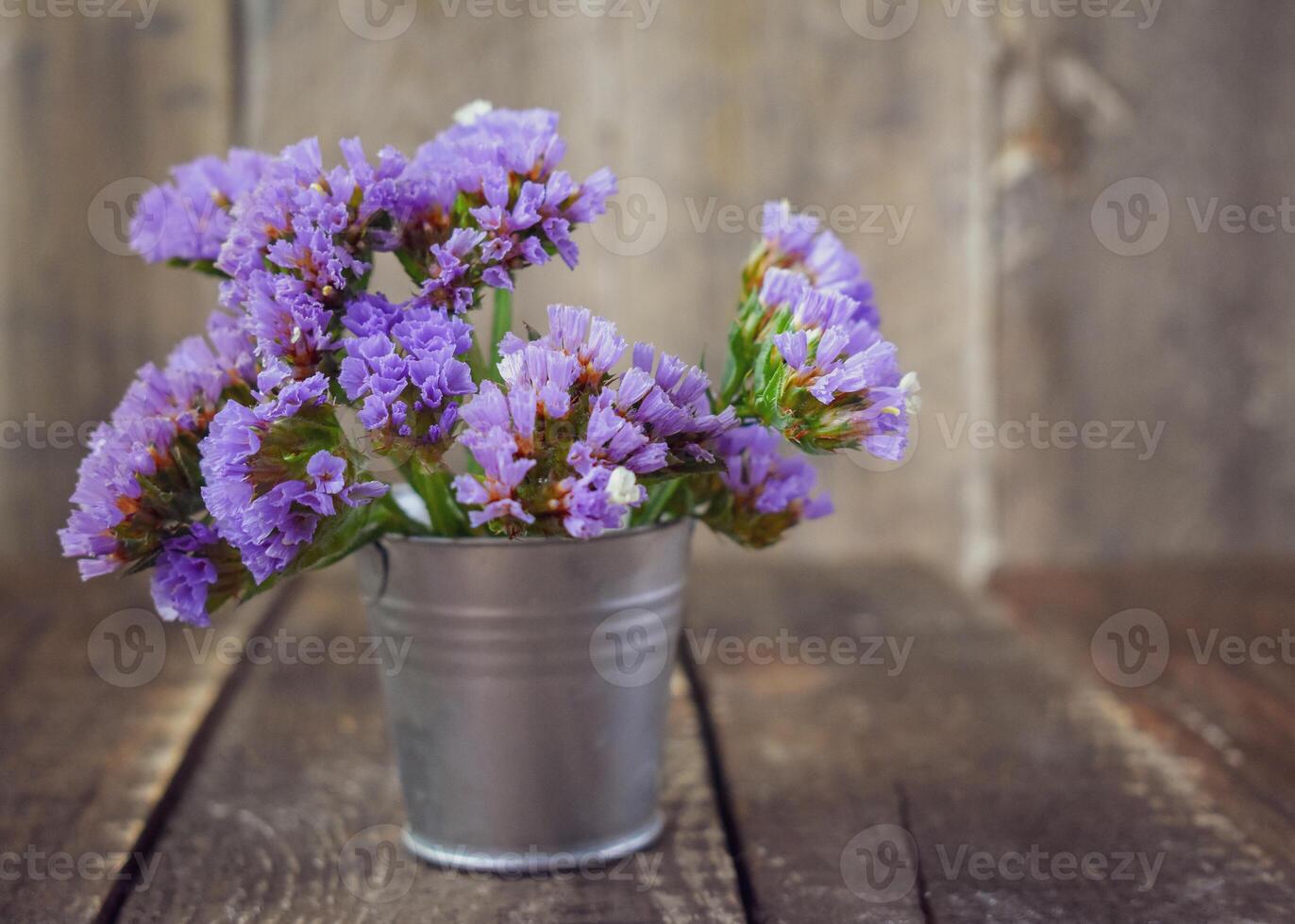 Limonium sinuatum Statice Flowers photo