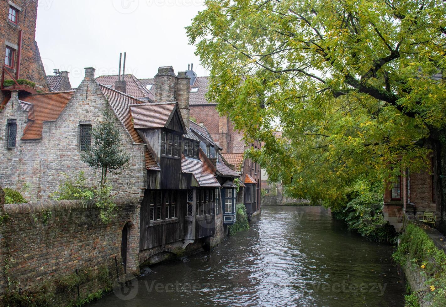 Autumn view from Boniface Bridge in Bruges, with charming canal, riverside houses, and overhanging tree photo