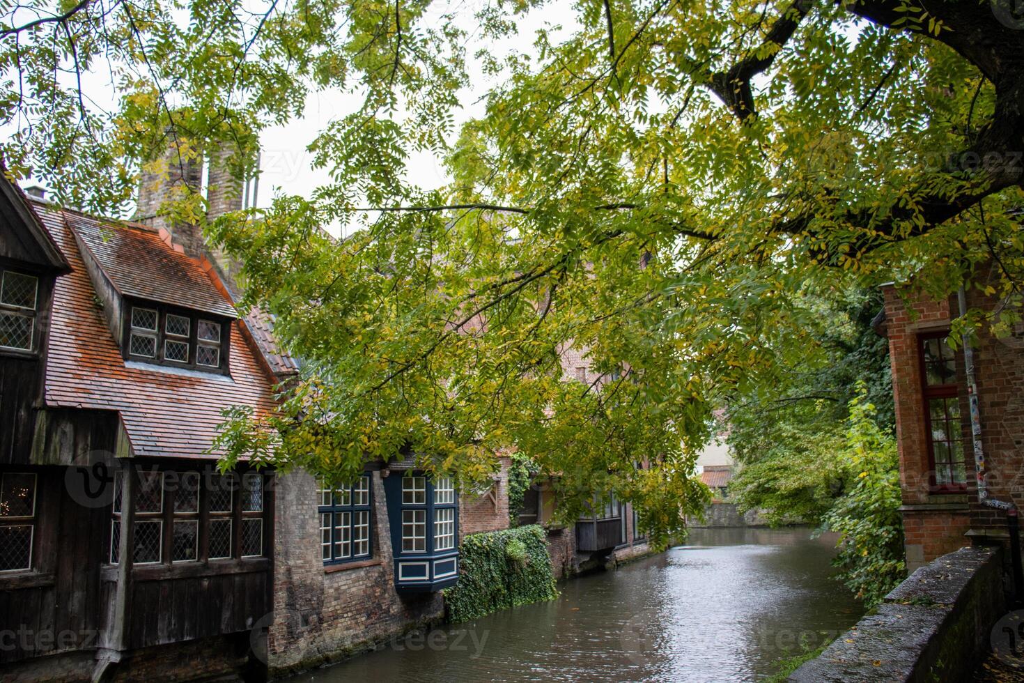 Autumn view from Boniface Bridge in Bruges, with charming canal, riverside houses, and overhanging tree photo