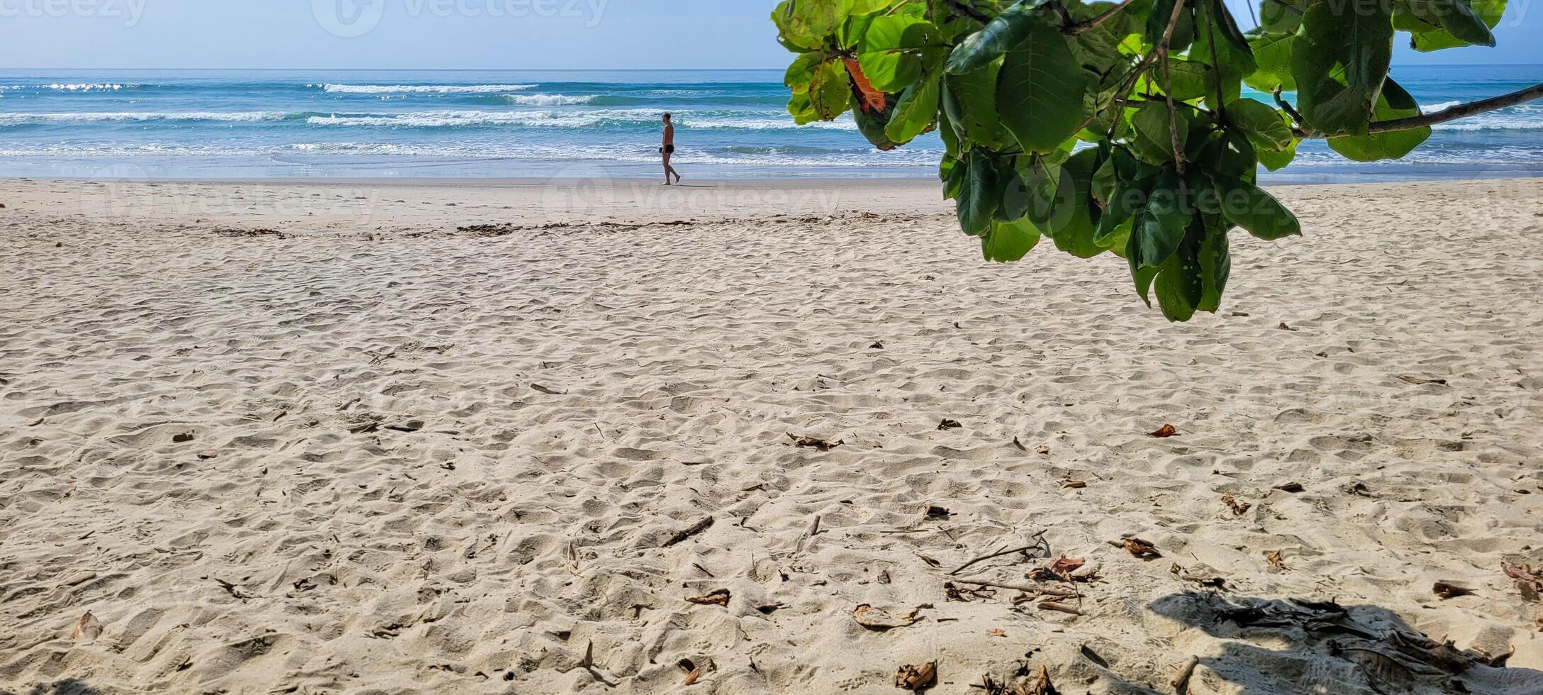 image of beach with white sand and calm sea on sunny day with bathers and surfers on the beach photo