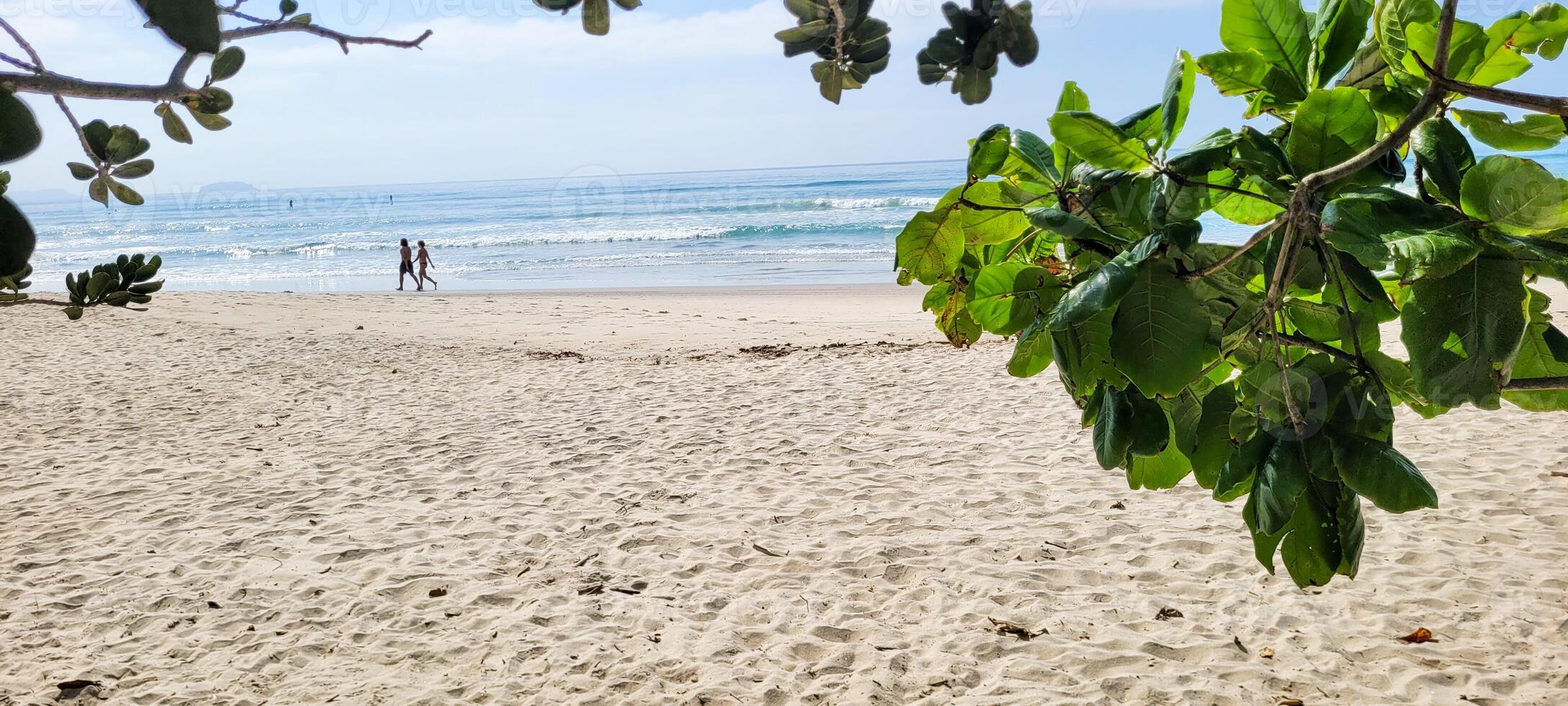 image of beach with white sand and calm sea on sunny day with bathers and surfers on the beach photo