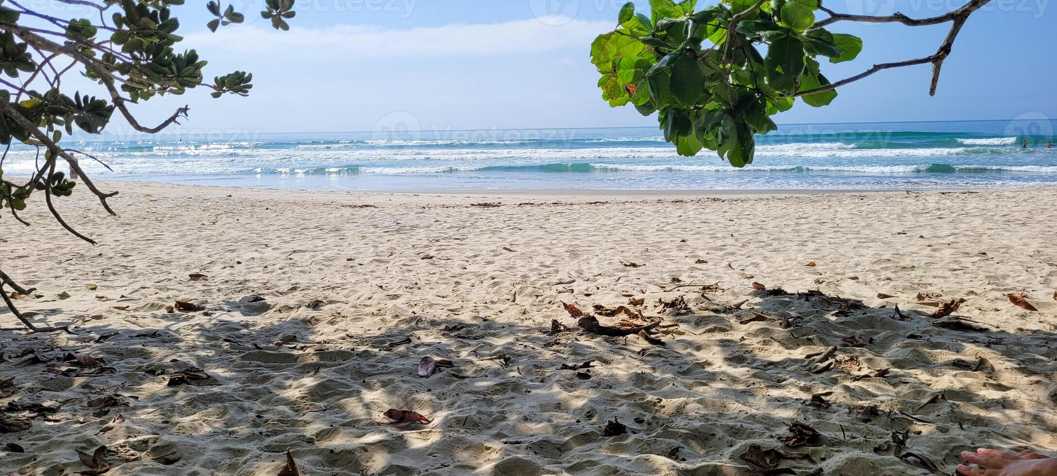 image of beach with white sand and calm sea on sunny day with bathers and surfers on the beach photo