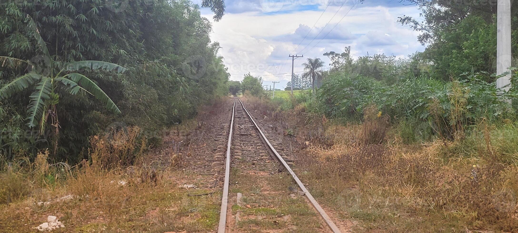 train track in the middle of nature on a cloudy day photo