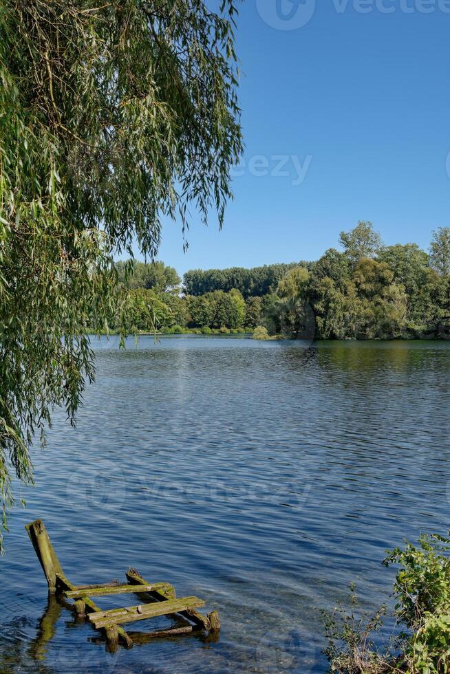 lago unterbacher ver en unterbacher ver y vendedor forst naturaleza Reserva,dusseldorf,norte rin Westfalia, Alemania foto