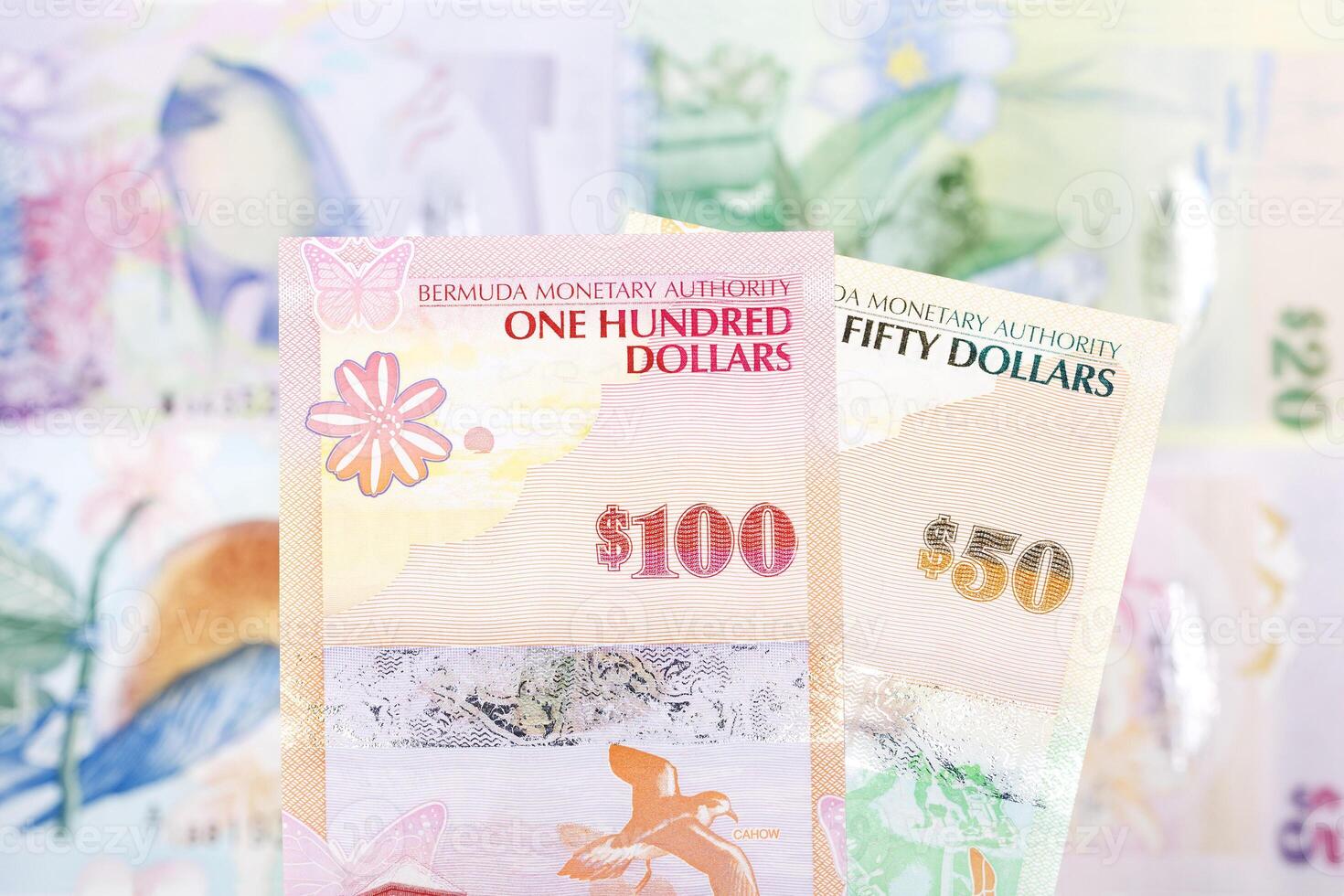 Bermudian dollar a business background photo