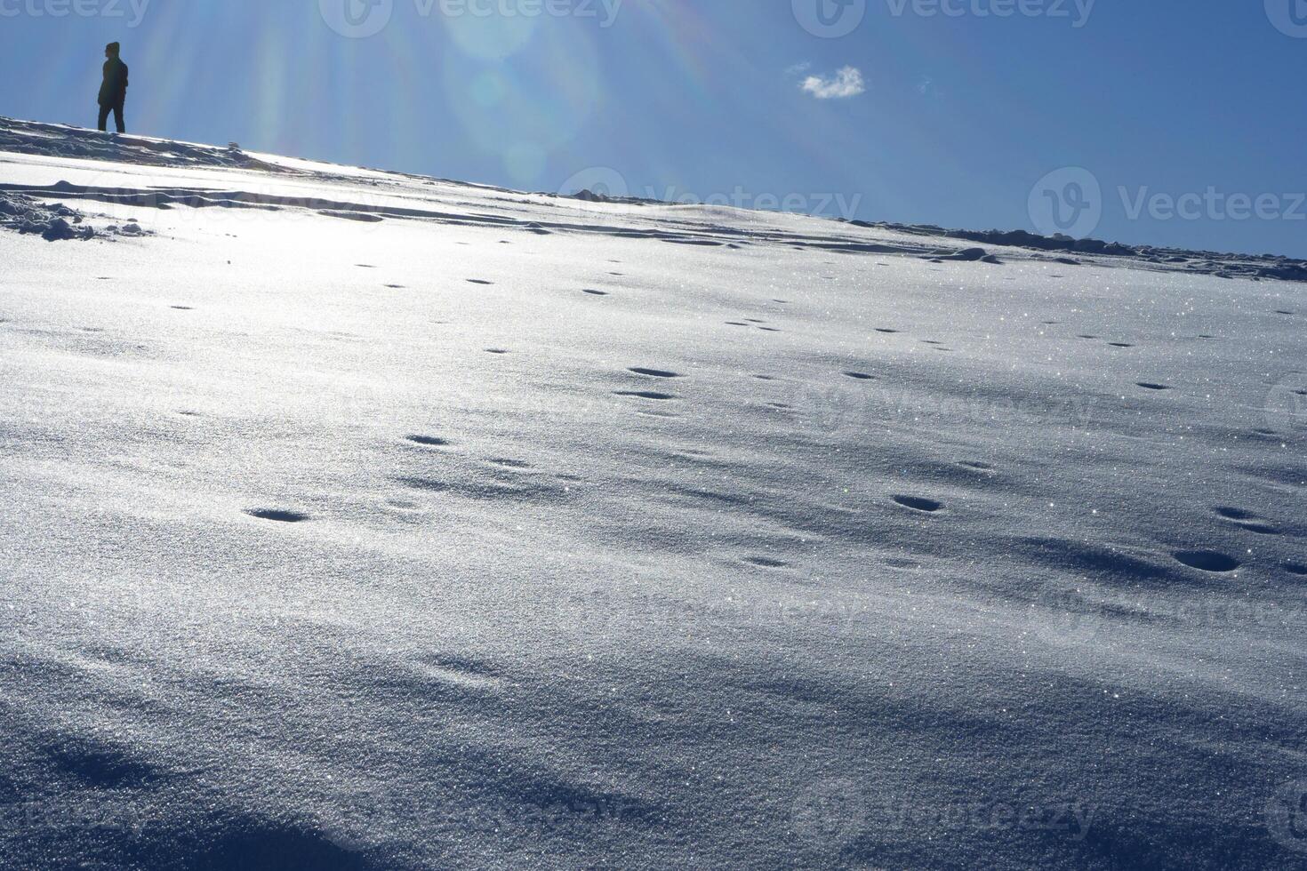 un persona en pie en un tabla de snowboard en un Nevado colina foto