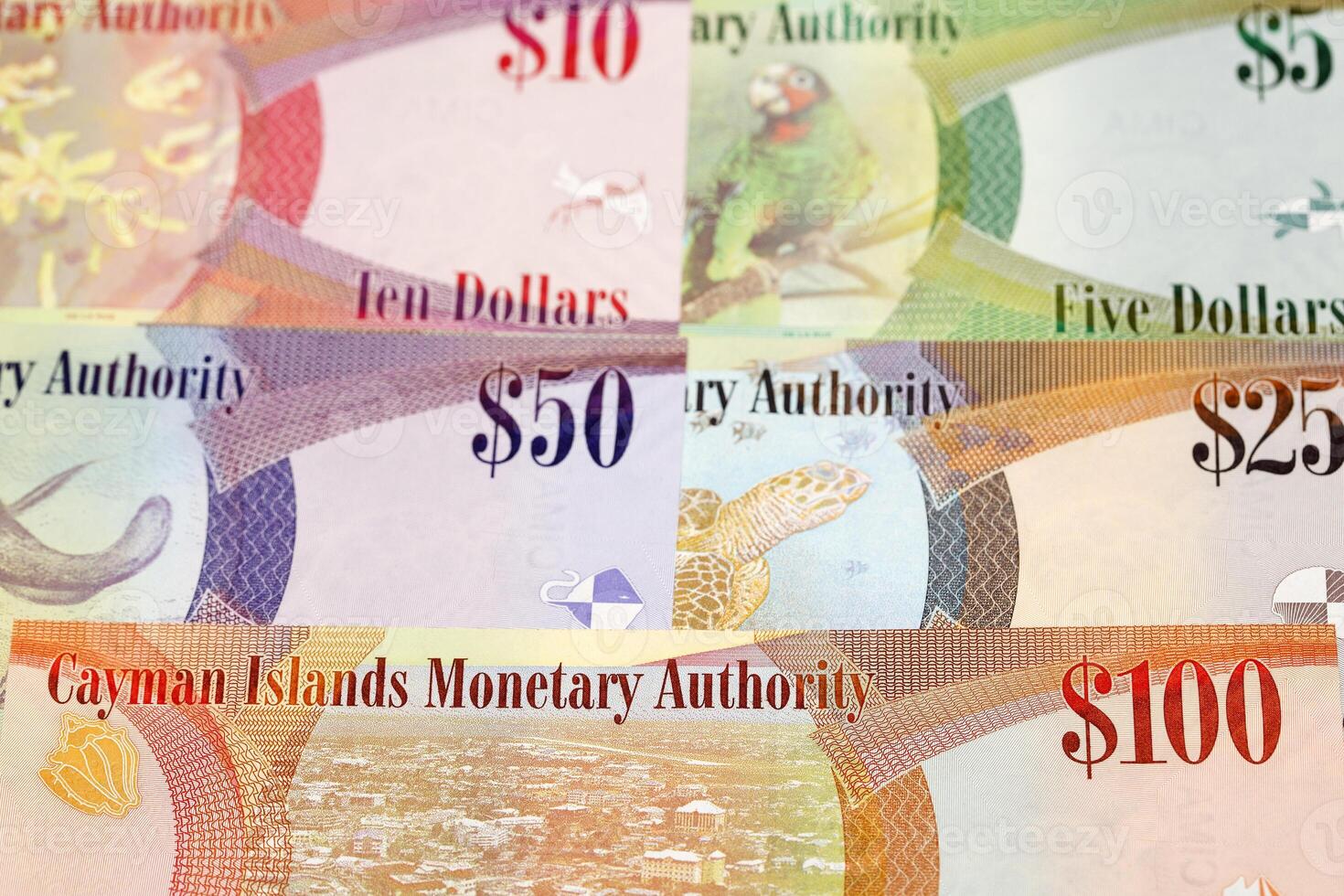 Cayman Islands money a business background photo