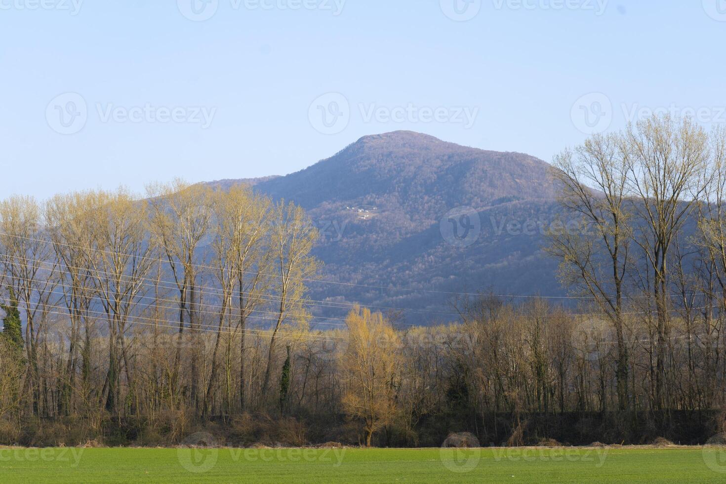 a field with a mountain in the background photo