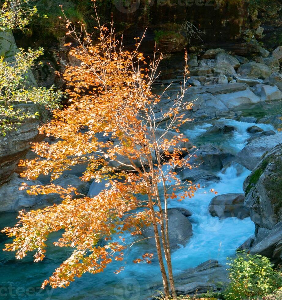 a river with a waterfall photo