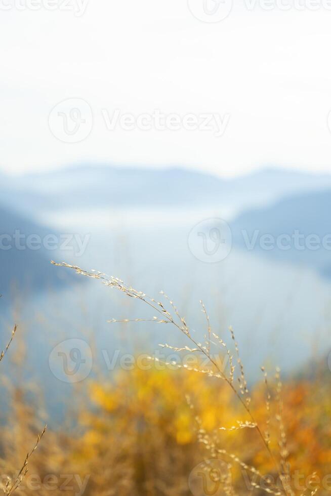 autumn view of mountains and lake from the top of a hill photo