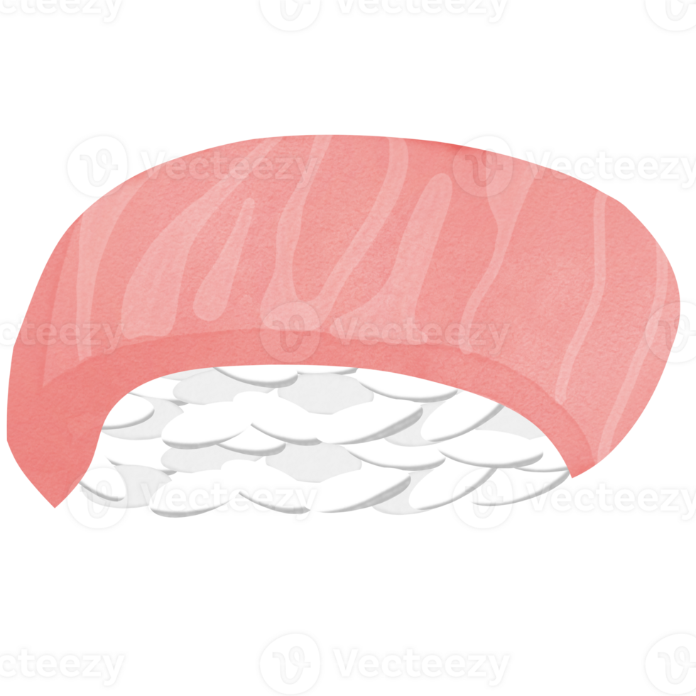 Sushi illustration healthy food png