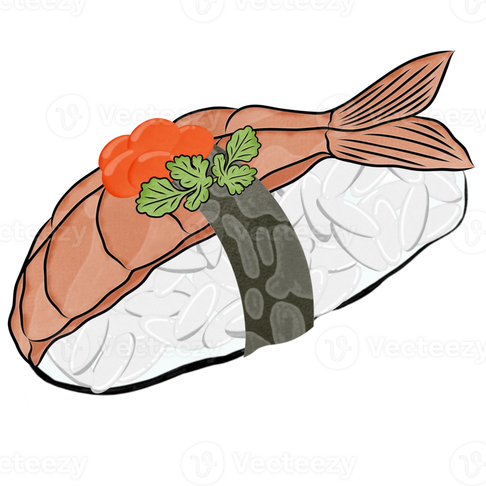 Sushi ilustração saudável Comida png