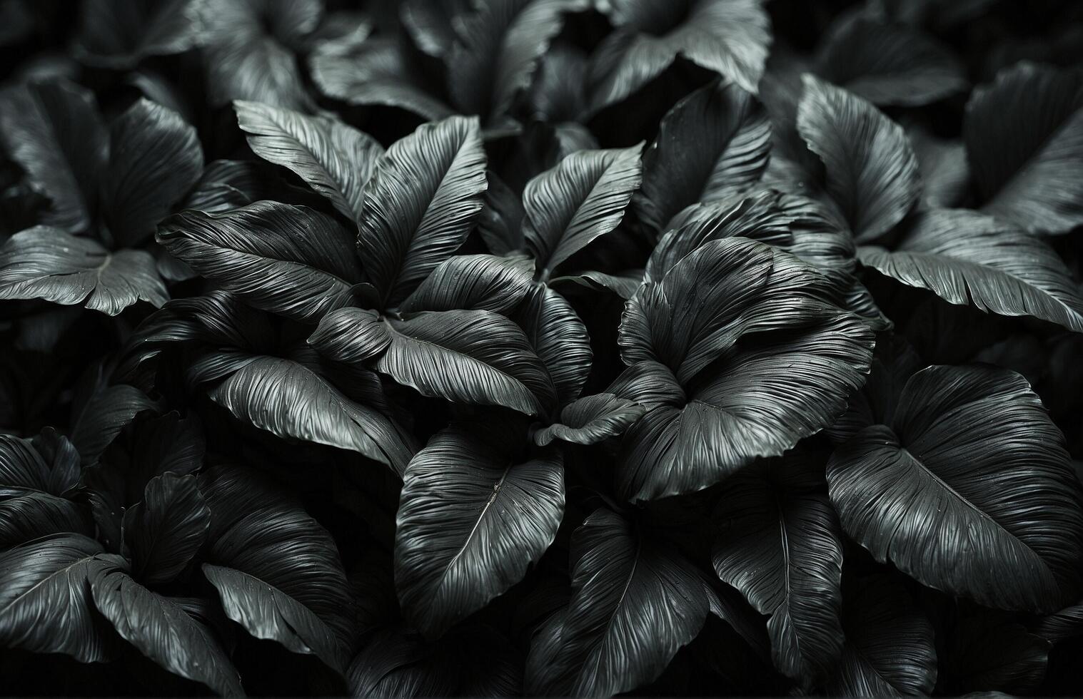 AI generated black tropical leaves on black background. photo