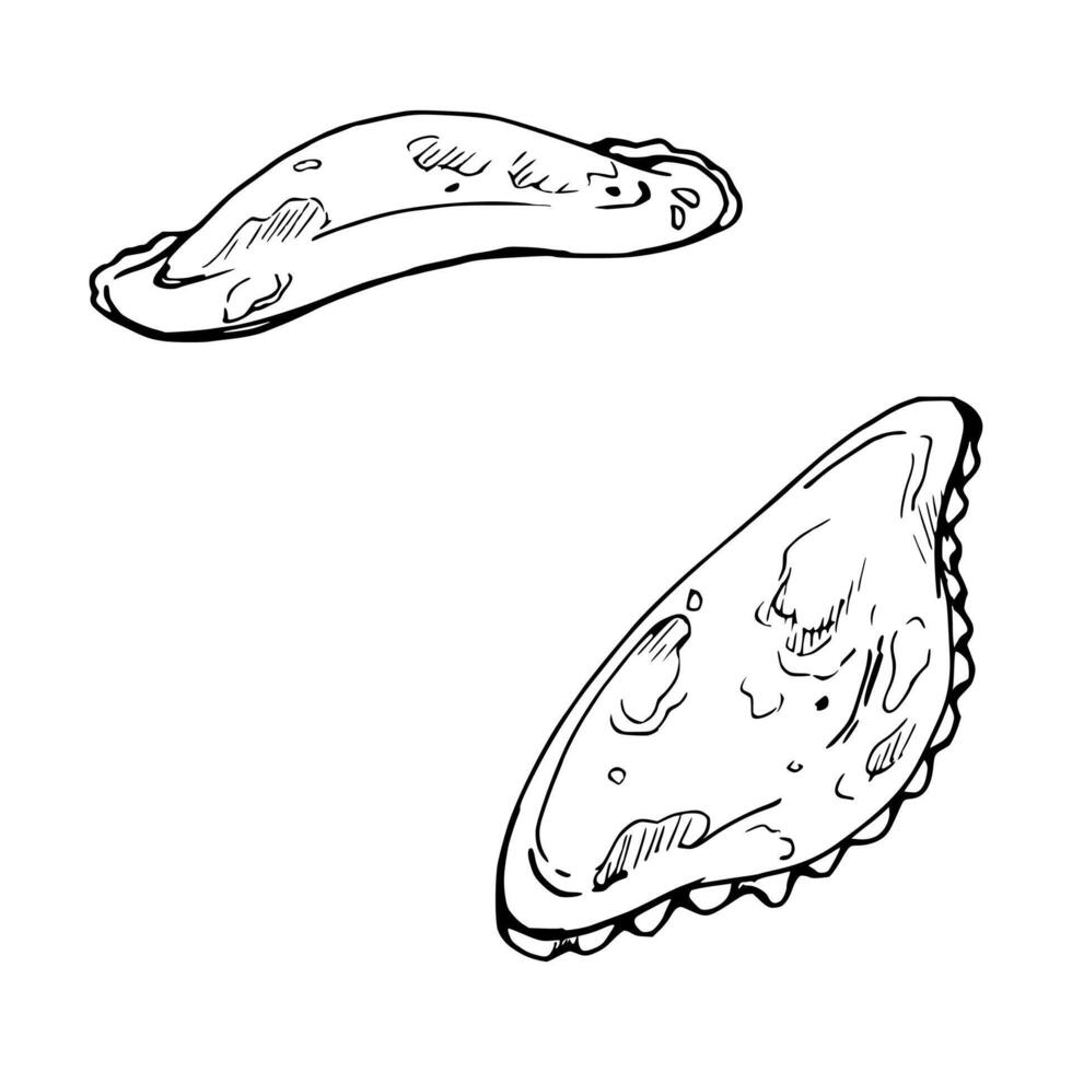 Hand drawn ink vector illustration, traditional meat vegetable filled pie dumpling empanadas turnover. Composition isolated on white background. Design travel, cafe restaurant menu, brochure, print