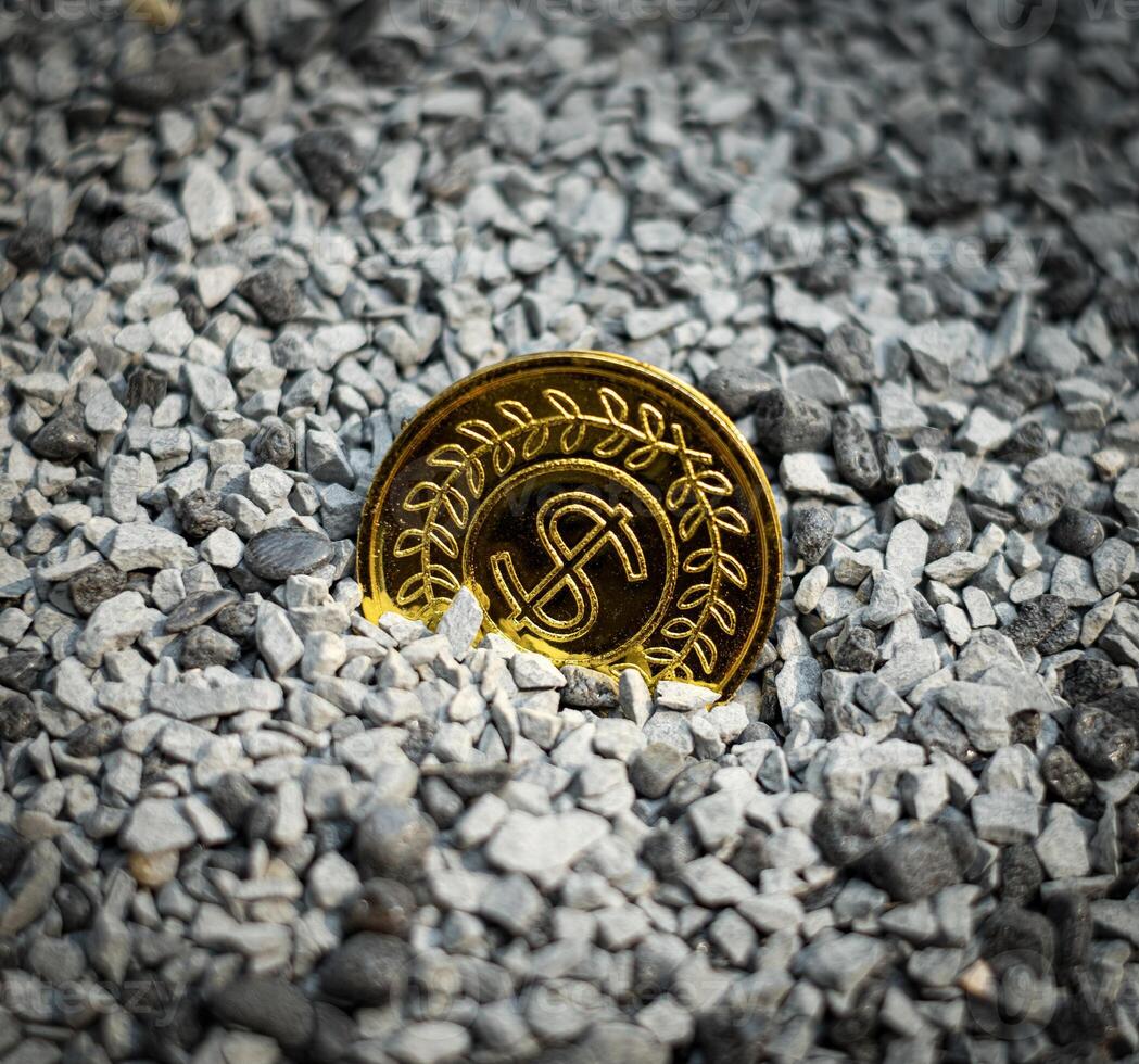 One gold coin USD buried in the grained stone photo