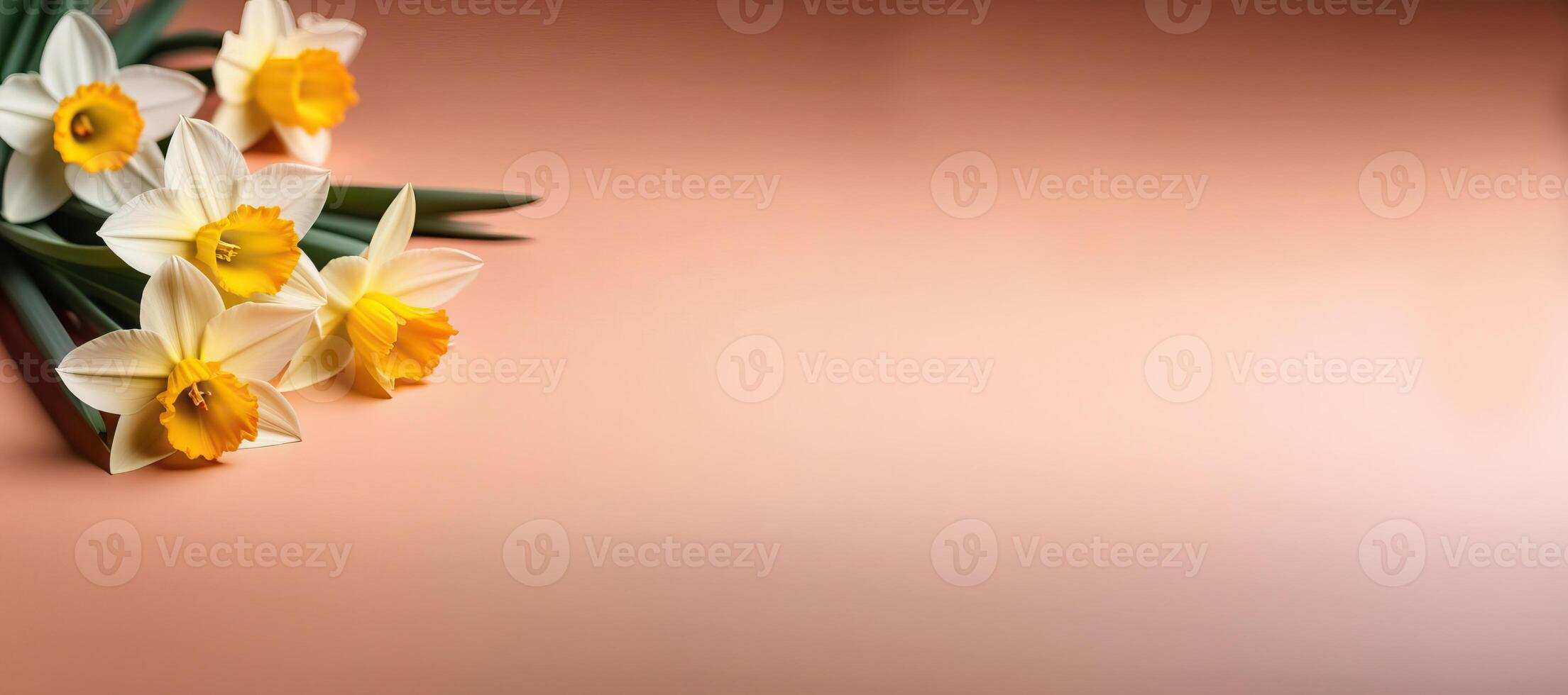 AI Generated Peach background with yellow daffodils, banner, free space for text photo