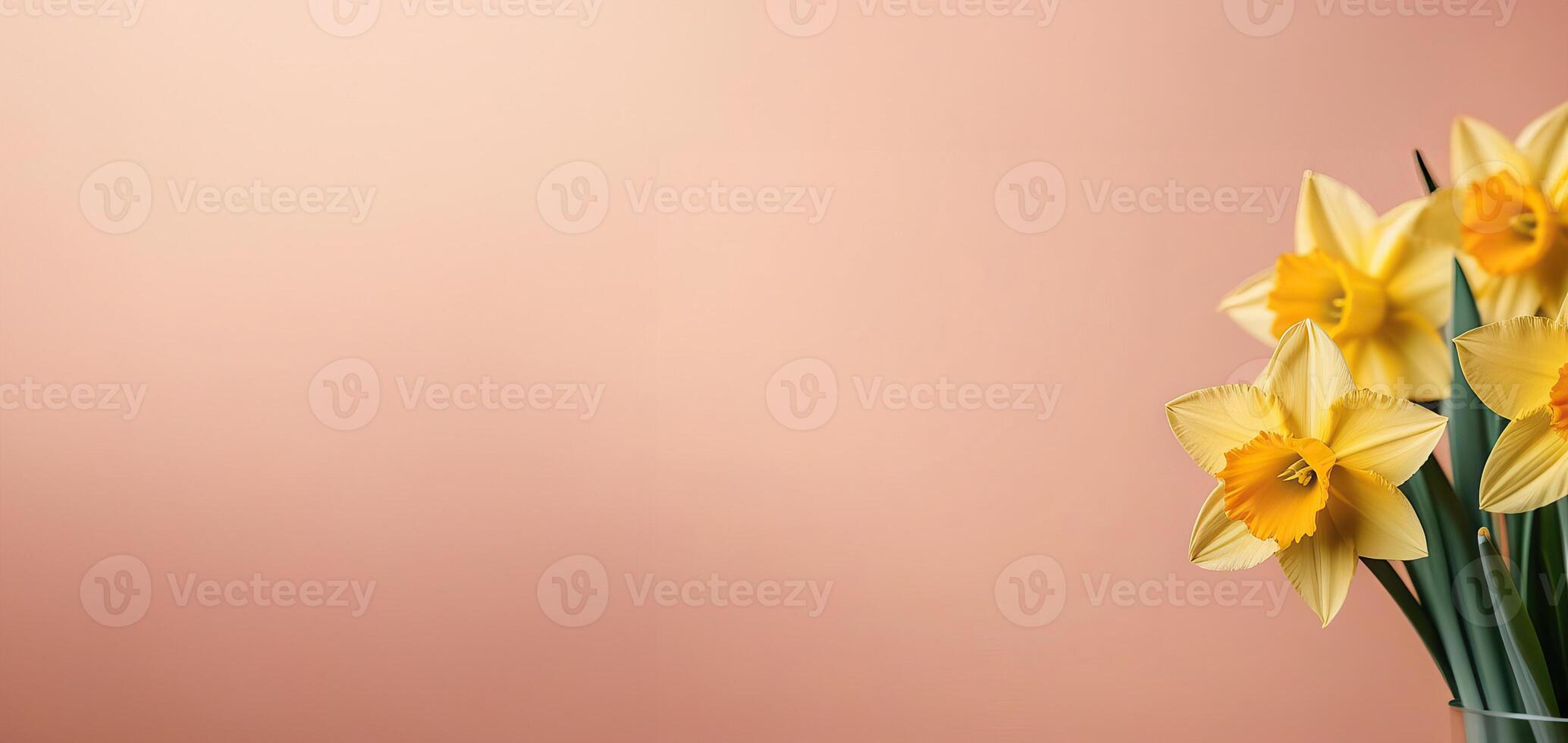 AI Generated On a peach pastel background, a bouquet of yellow daffodils, a banner, free space for text photo