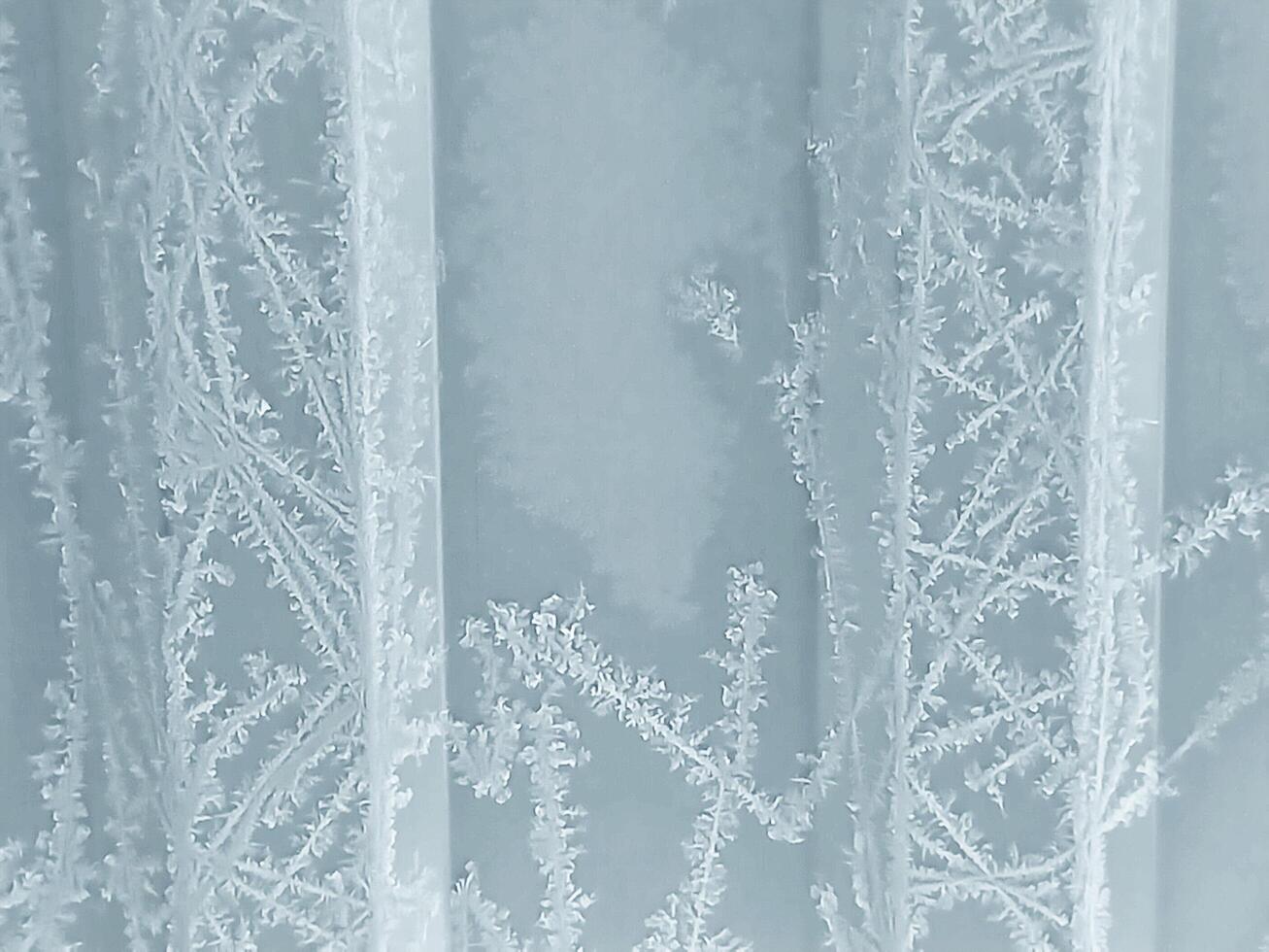 winter frosty background with snow pattern photo