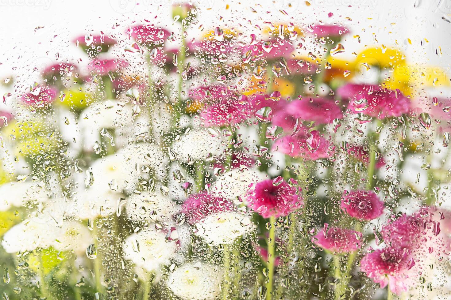 floreciente flores detrás el mojado ventana vaso. foto