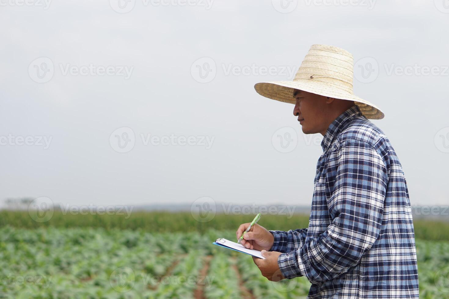 Asian farmer is observing and writing on paper notepad , collecting data about growth and disease of plants at garden. Concept, agriculture research to develop crops. photo