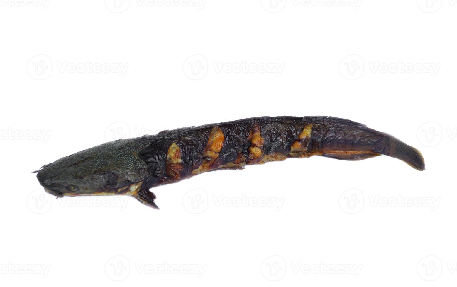 Grilled catfish, isolated on white background. Concept, local Thai delicious street food in Thailand. High protein. Healthy eating. Fish menu. photo