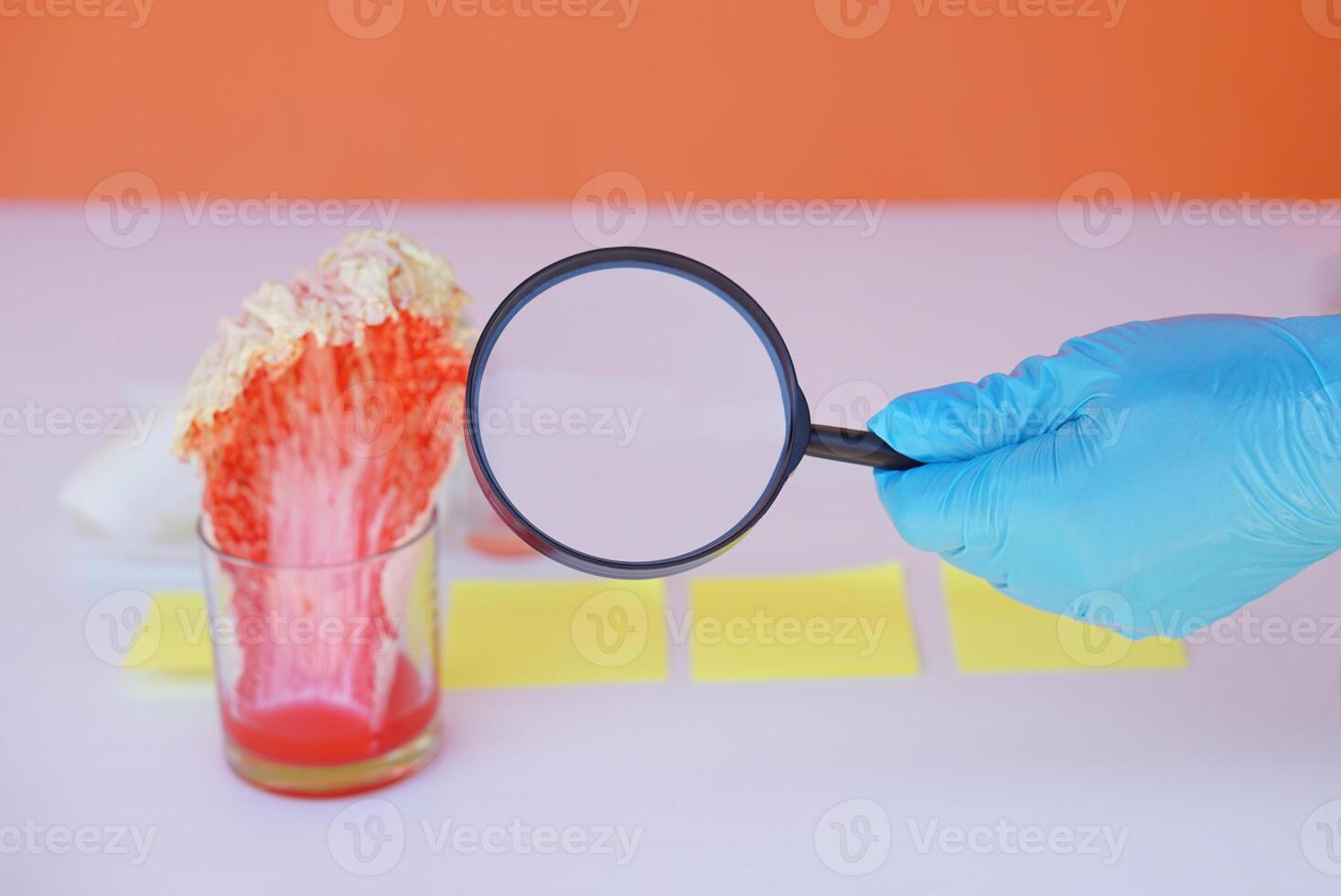 mano vestir azul guante sostiene aumentador vaso a hacer Ciencias experimento. concepto, Ciencias lección actividad. fácil experimentar para aprendiendo. enseñando educación materiales aprendizaje diseño. foto