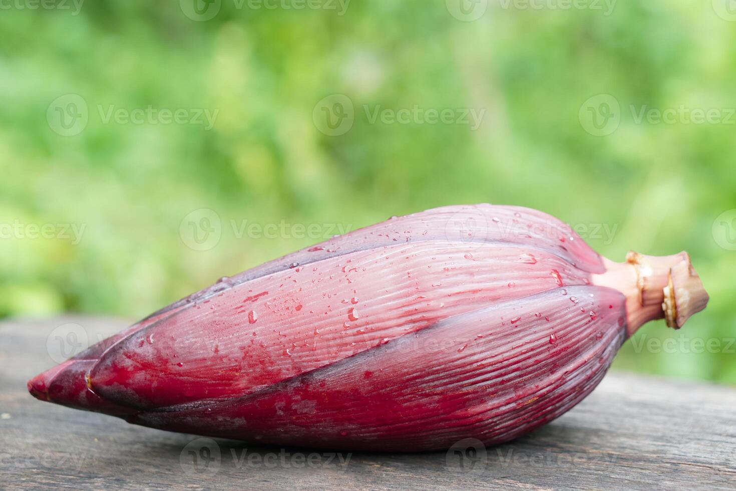 Fresh edible banana flower. Concept, Agriculture crop from garden. Food ingredient can be cooked in variety delicious menu, has medicinal properties Good for health. photo