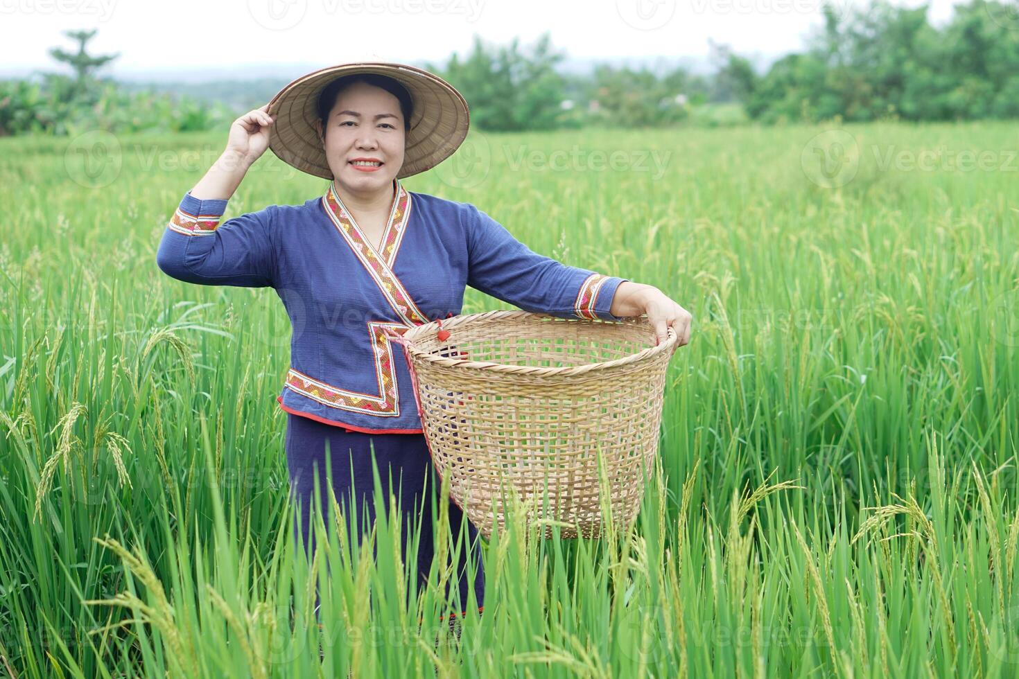Beautiful Asian woman farmer is at paddy field, holds basket, visit and take care rice plants after growing and waiting to harvest. Concept, Agricultural lifestyle. Organic farming. Thai farmer. photo