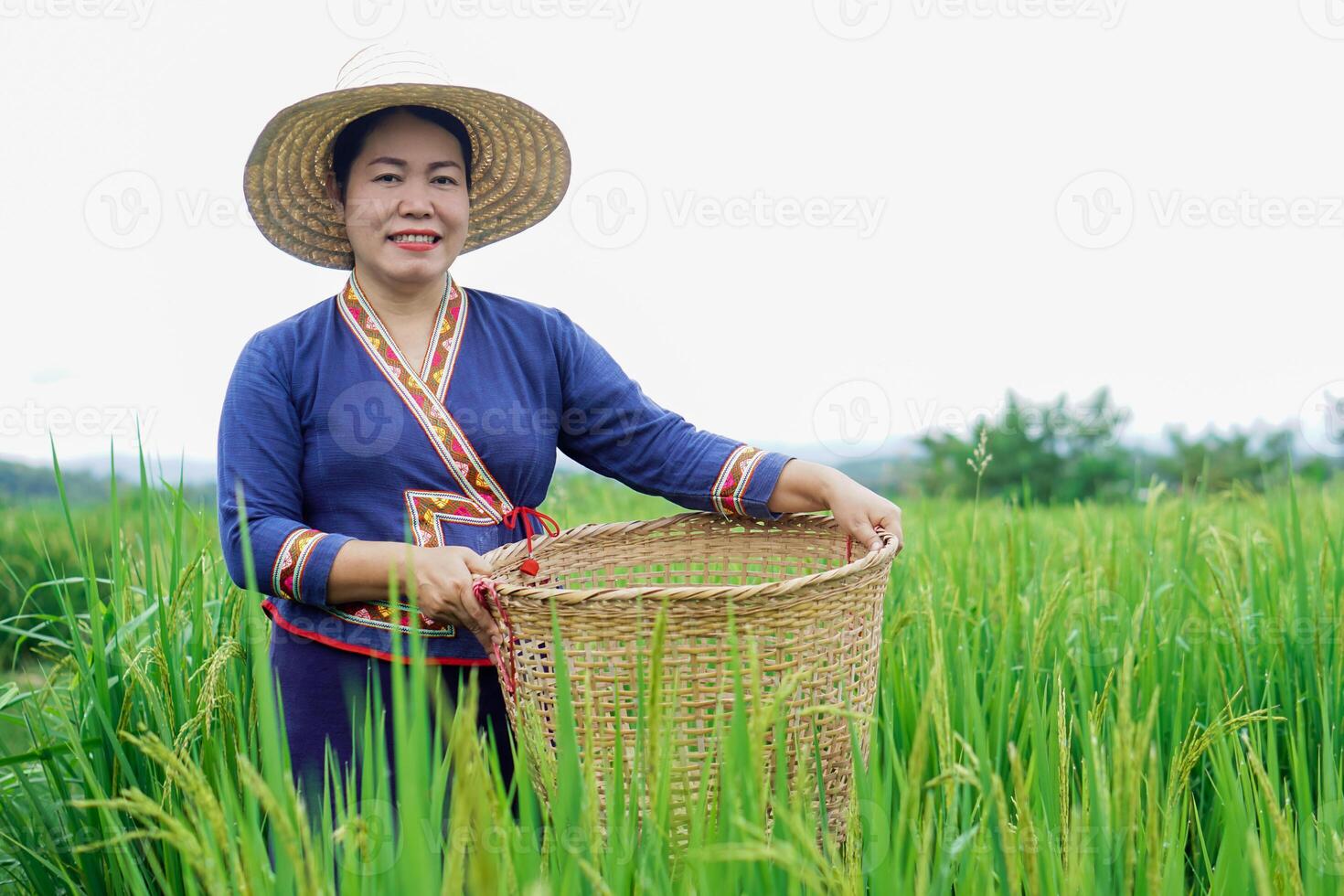 Beautiful Asian woman farmer is at paddy field, holds basket, visit and take care rice plants after growing and waiting to harvest. Concept, Agricultural lifestyle. Organic farming. Thai farmer. photo