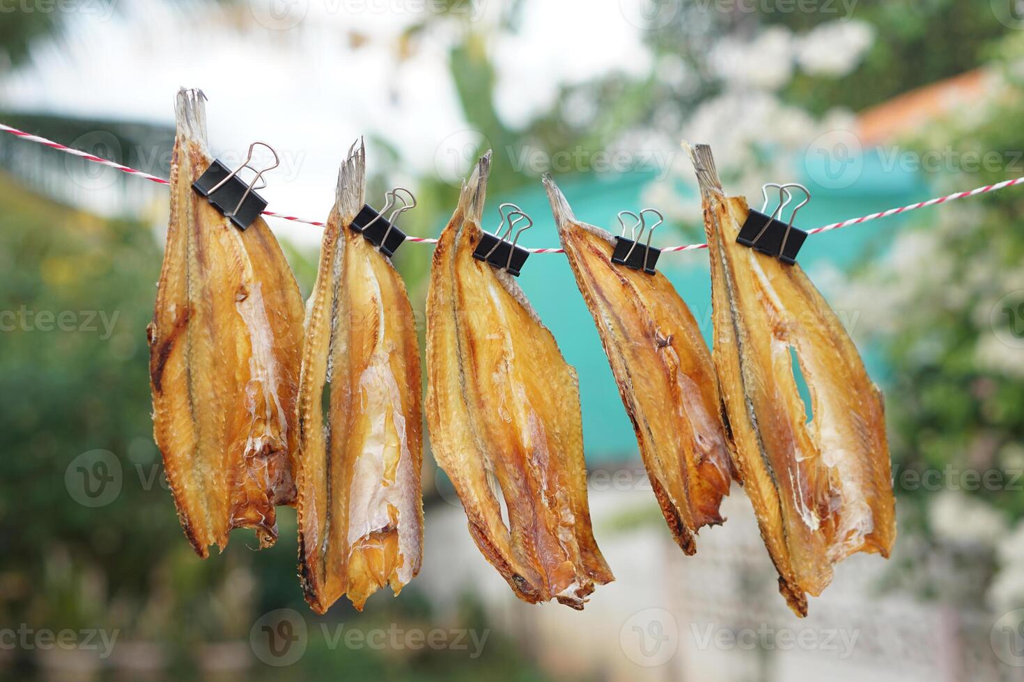 Dried fish hanging to dry on a line  outdoor. Concept, food preservation for next time cooking or keep long live of food by drying on sunlight or air. Local wisdom of keep food. photo