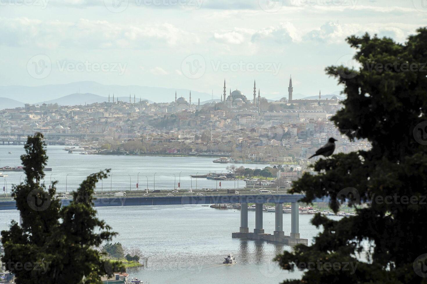 ver de dorado cuerno visto desde pierre Loti colina en Oye arriba distrito en Estanbul, pavo. foto