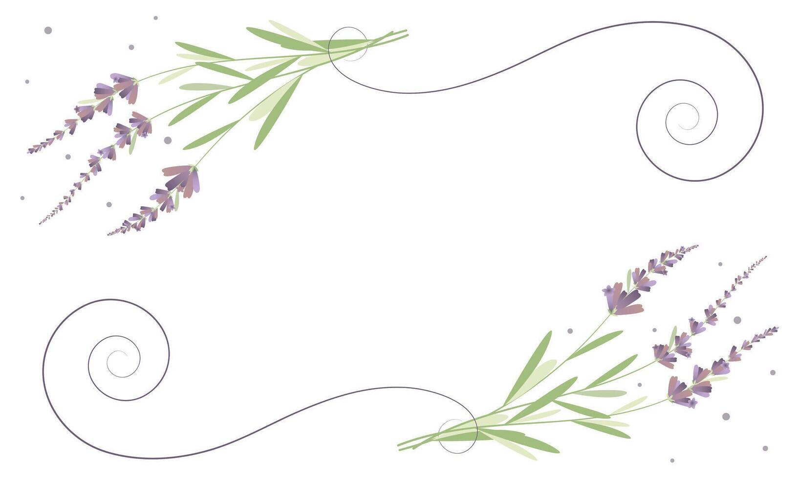 Frame with leaves and flowers, sticker, nature, vintage, vector, lavander vector