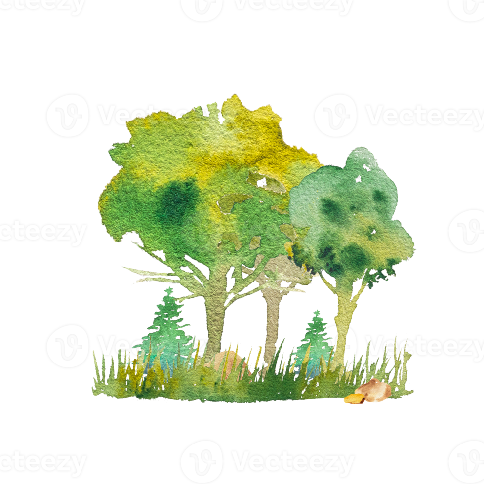 Hand drawn watercolor fragment of a forest, deciduous and coniferous trees. Summer, spring nature, holiday background, deciduous trees, landscape. Landscape for design png