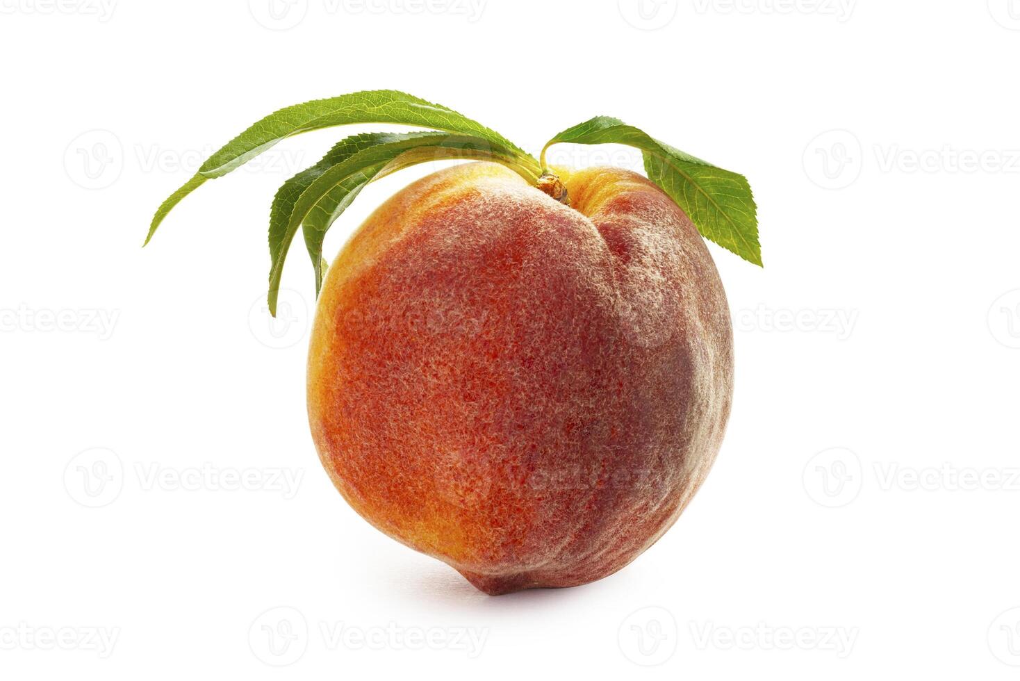 Peach isolated on white background photo