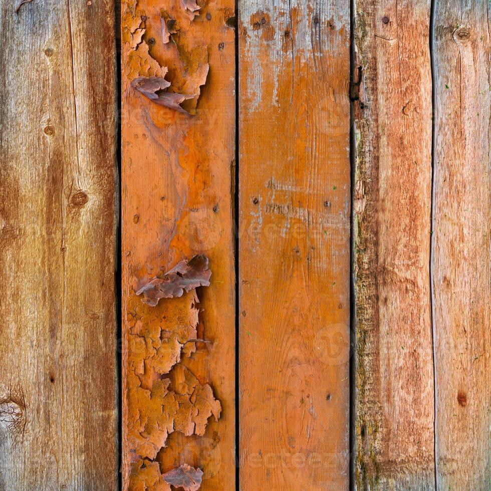 Wood panel wall texture grunge photo