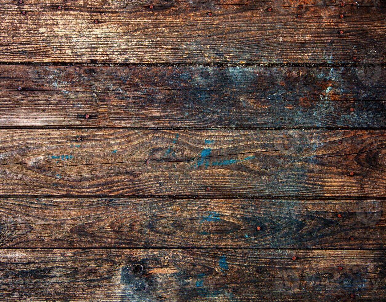 Wood background or texture photo