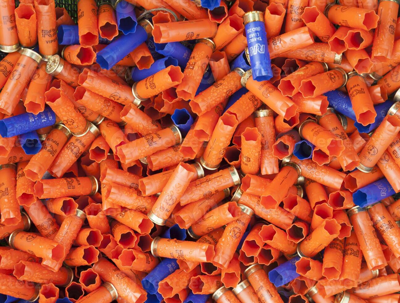 Background of many colorful shot empty shotgun shells photo