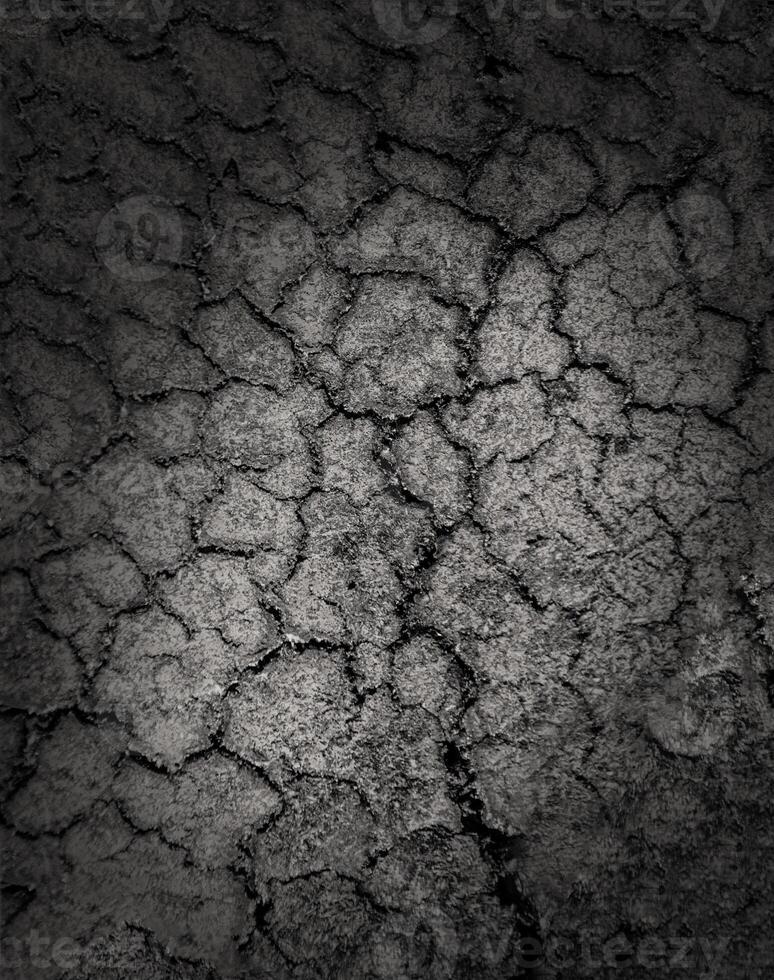 Dried cracked earth soil ground texture background photo
