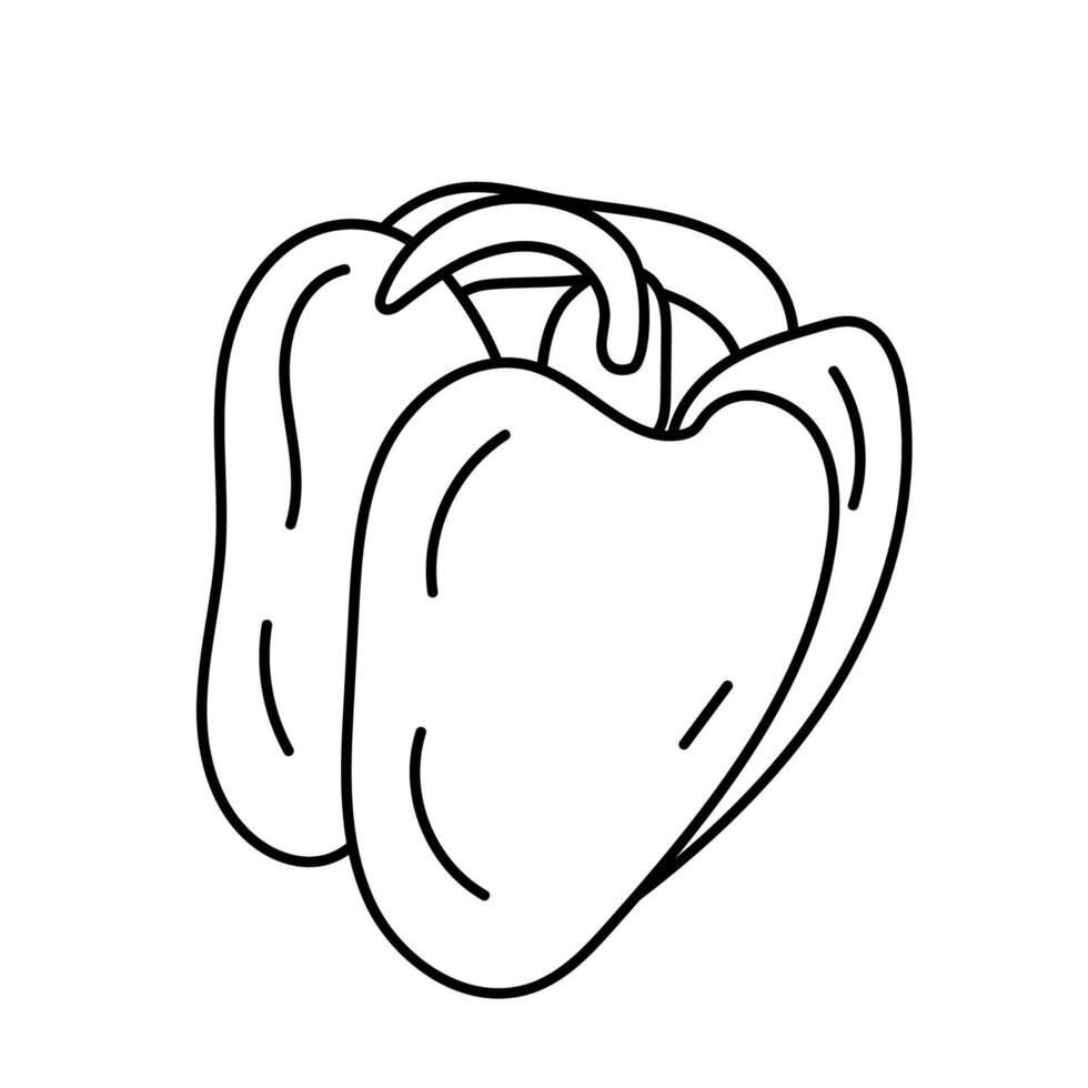 Doodle illustration of sweet bell pepper, paprika, in black and white, black line, isolated on white. Vegetable. vector